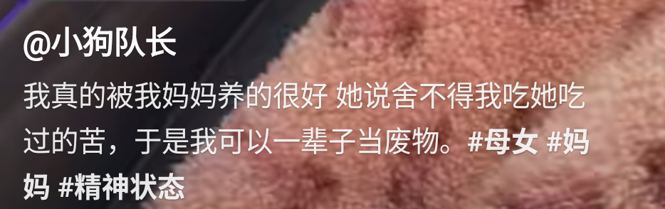 女儿偷偷录下妈妈说的话，这番言论让网友一个个破防