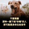 你是不是也曾羡慕过那种“一躺下就睡着”的人？