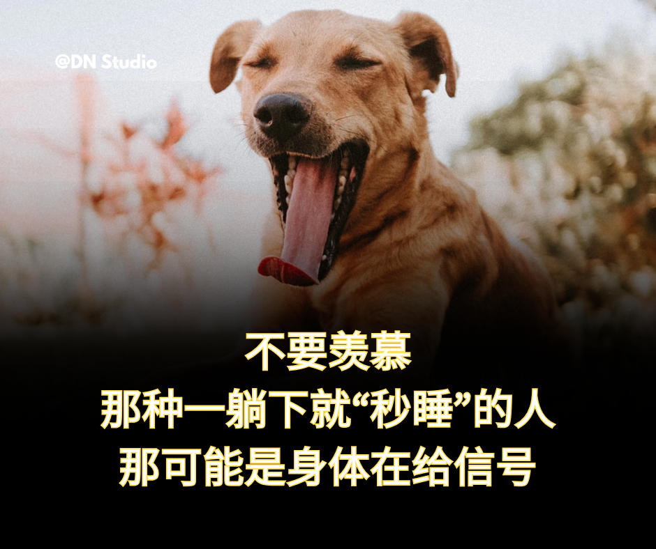 你是不是也曾羡慕过那种“一躺下就睡着”的人？