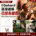 养狗的人慎入！《Gohan》为什么这么催泪？