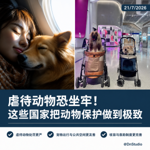 1e6607dd-5388-4d04-89ef-8e21d8286fe1