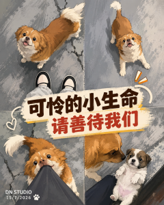 虐狗案件