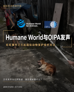 旺旺事件获国际关注：OIPA正式致函中国，Humane World公开声援