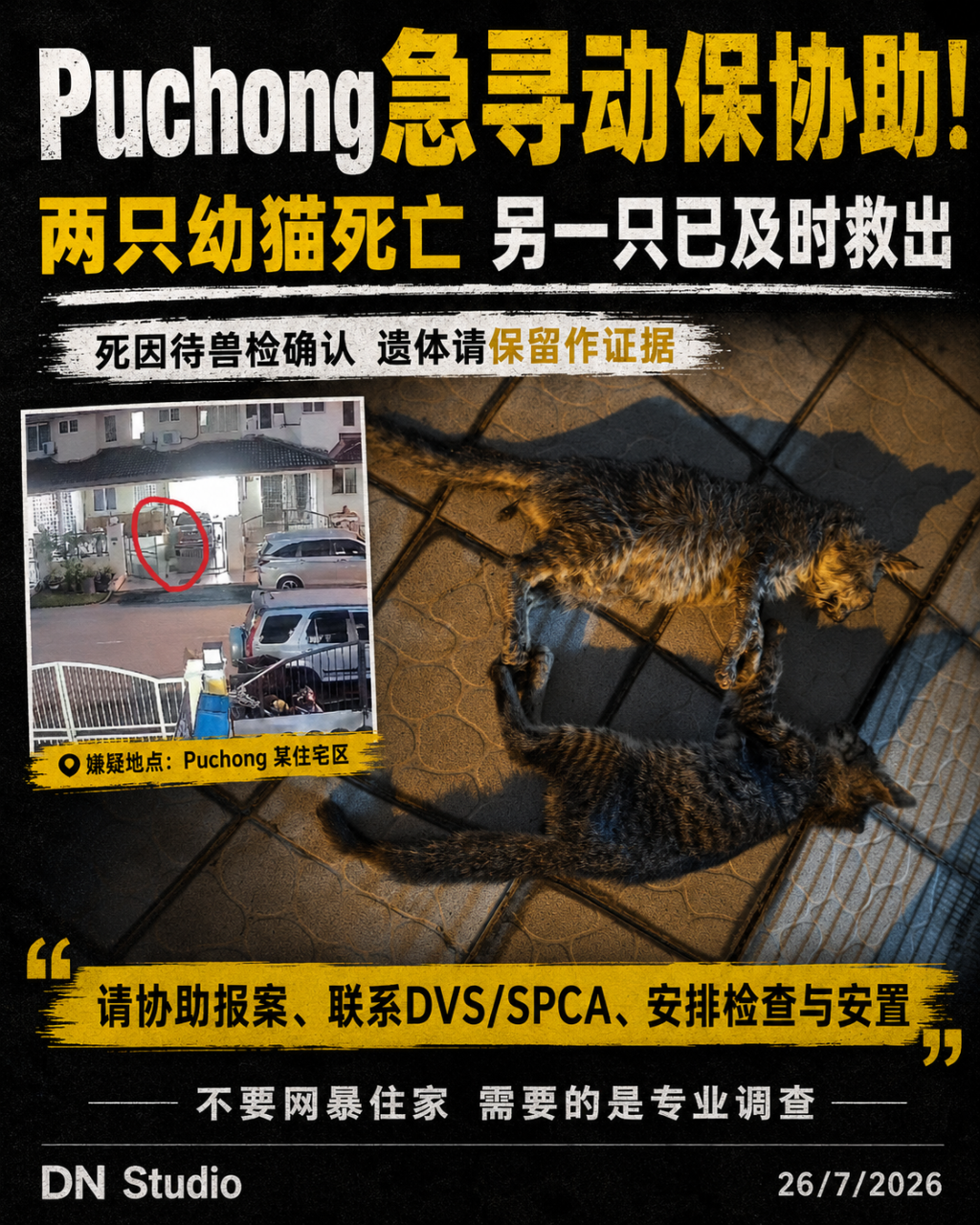 Puchong Utama两幼猫疑遭老妇打死，家属一句“只不过是一只猫”令人心寒