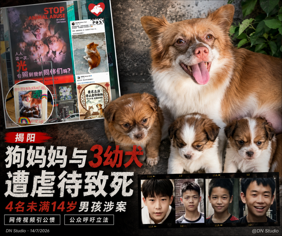 blog (1)