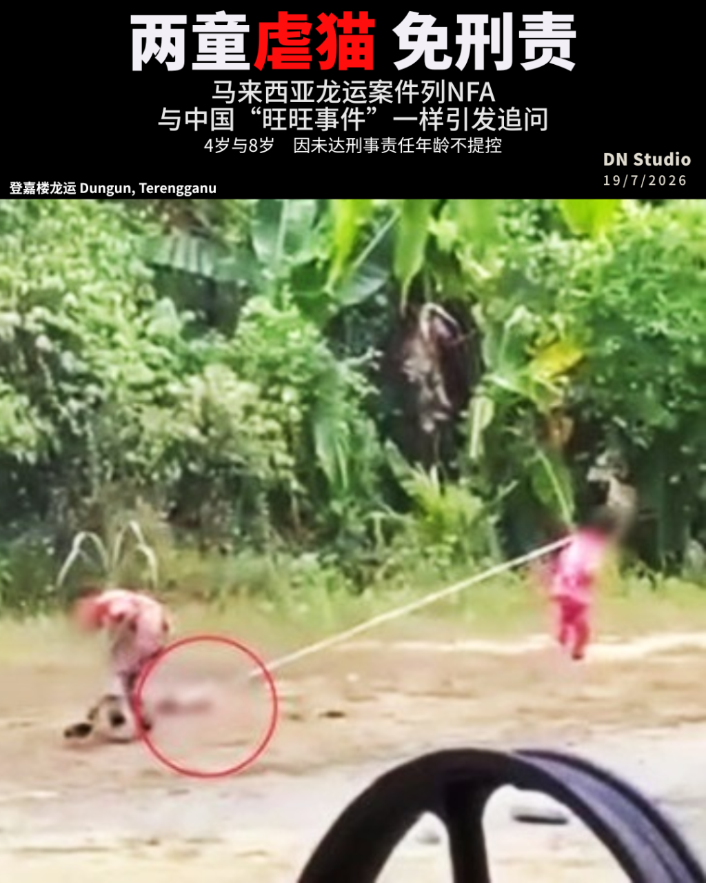 马来西亚龙运两童虐猫免刑责：与中国旺旺虐狗事件有何相似？