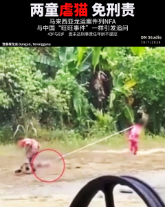 马来西亚龙运两童虐猫免刑责：与中国旺旺虐狗事件有何相似？